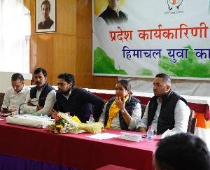 Shimla: Himachal Pradesh Youth Congress Executive meeting organized