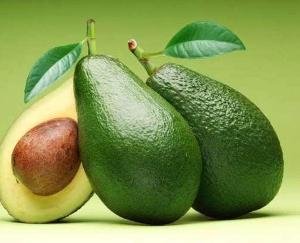 Avocado fruit will be produced in Himachal, successful trial