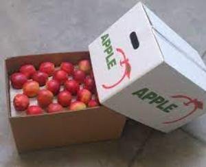 Apple carton more expensive due to increase in GST, another setback for gardeners