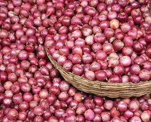 Anecdote: Onion has been making politicians cry