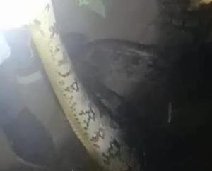 Volcano: Huge python entered houses in Bhadoli area, panic among people