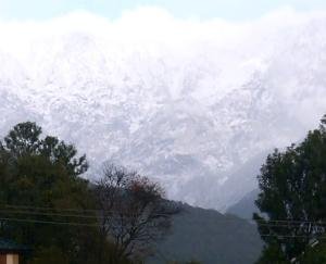 Dharamsala: The weather took a turn again, snow covered from Dhauladhar to Billing