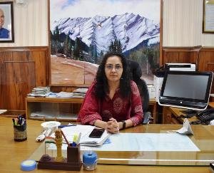 Deputy Commissioner Solan issued orders regarding sale of firecrackers on Diwali etc.