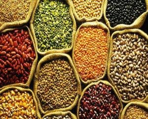 Relief: Pulses will be available in the state's ration depots from November by 22 rupees