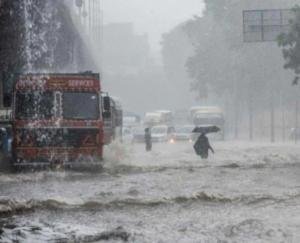 Heavy rains wreaked havoc in Tamil Nadu, Orange alert issued in many districts
