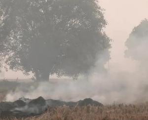Stubble burnt in Singhu village of Delhi, pollution reached dangerous level