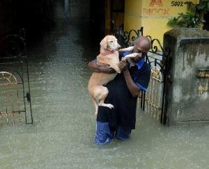 Tamil Nadu: In torrential rains, animals including humans are being rescued