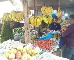 Kangra: The team of Food Supply Department inspected the shops of vegetable, fruit and curry vendors
