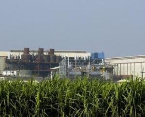 Indore: Sugar mill Mukerian will start crushing sugarcane from November 28, atmosphere of happiness among the farmers of Mand area
