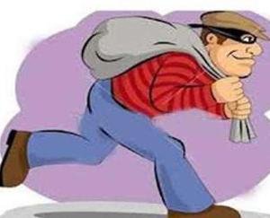 Darlaghat: Case of theft registered under Police Station Baga