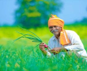 Jwalamukhi: General session of Jayaga di Dhawala Krishi Seva Cooperative Sabha called on 18th December