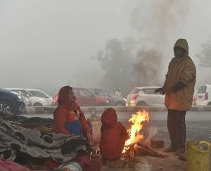 Shivering cold knocked with fog in North India including capital Delhi