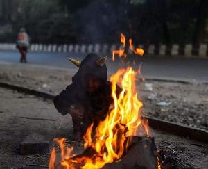 Entire North India in the grip of cold wave, it is getting cold