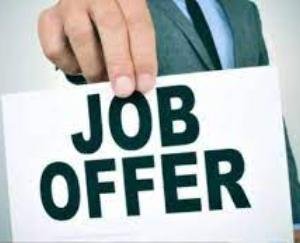 Solan: Campus interview for 313 posts will be held on 29th December