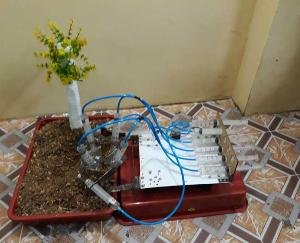 सोलन : बाल विज्ञान सम्मेलन-2021 में सोलन जिला के 10 छात्र विजेता घोषित