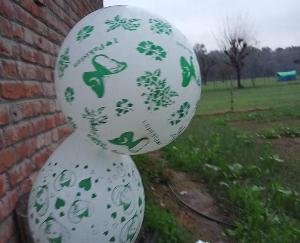 ज्वालामुखी: अधवानी में मिले आई लव पाकिस्तान के गुबारे