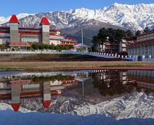 Dharamsala: After the snowfall in the tourist city Triund, the plains bloomed like silver from the sun