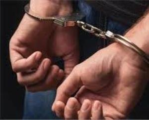 ज्वालामुखी: पुलिस ने भड़ोली में दुकानदार से पकड़ी 4 बोतल देसी शराब