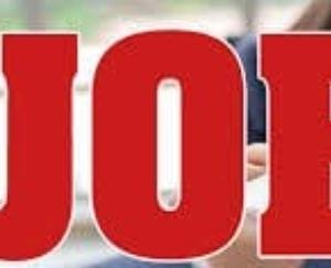 देहरा: दैविक वेतन भोगी आधार पर भरा जाएगा चालक का एक पद