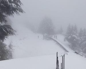 अर्की : बर्फ़बारी से खिले किसानों के चेहरे