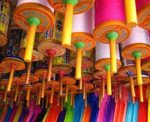 Dharamsala: Ban on the sale of threads made from a mixture of Chinese manjha, nylon, brass and glass