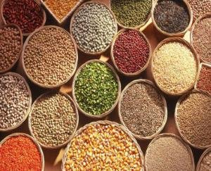 Dharamshala: Special emphasis on high quality of food items: Pankaj