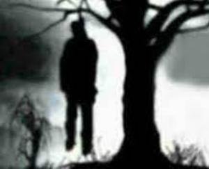 Migrant's body found hanging from tree in forest, sensation in the area