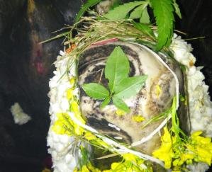 Kunihar: Devotees listened to Shiva Mahapuran story in Shiva Tandava Cave Kunihar