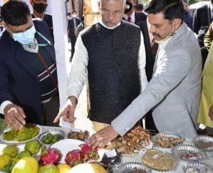 Kangra: Himachal farmers can represent the country in natural farming - Governor