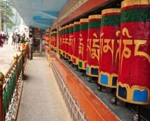 Tibetan main temple McLeodganj will open on the occasion of Tibetan New Year