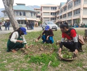 Volunteers cleaned, cleaned beds around Science Block for the second day
