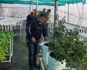 Naveen Sharma, who is earning 50 thousand a month from 'Hydroponics' farming, leaving the corporate sector job