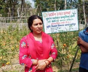  The barren land was made fertile by natural farming, now Ajay is growing 'gold' there