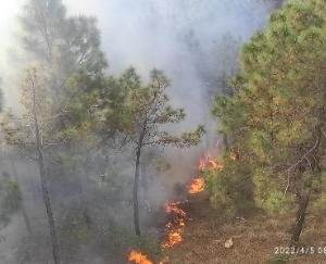 Fire broke out in Shanan's forest