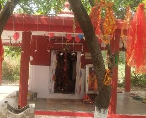 Indore: Jagran and Bhandara organized on Baisakhi in ancient Mata Sheetla temple