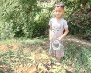 Indora: The child studying in the first grade made aware to save nature, arranged water for the birds