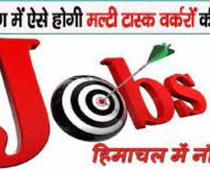 Notification issued to fill the vacant posts of part time multitask worker