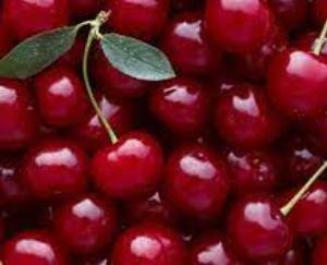 Gardeners are getting double the price of cherries this year