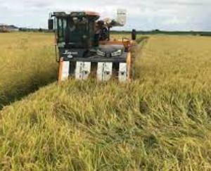 Contribution of Agriculture Farm Milwan to the farmers