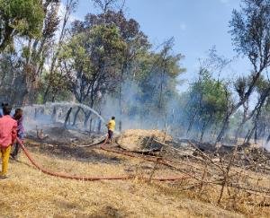 Fire broke out in five Gaushalas; One cow was burnt, the loss of Hazaras