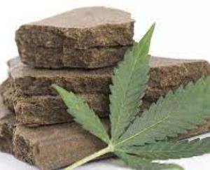  Accused arrested with charas