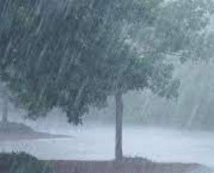  People got relief from the heat due to rain