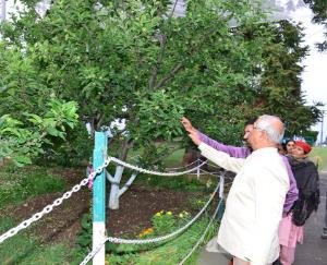 Governor visits Regional Horticulture Research and Training Center at Mashobra