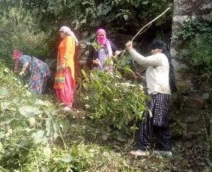 राष्ट्रीय प्रेस दिवस के विशेष मौके पर आदर्श महिला मंडल ने चलाया स्वच्छता अभियान