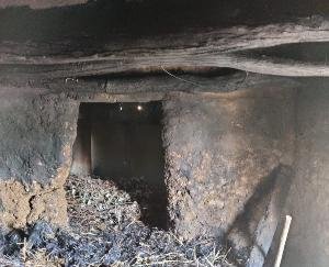 Two cows burnt due to fire in Gaushala