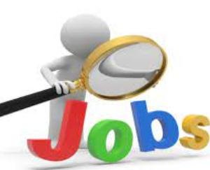 Interview for the posts of Anganwadi, Mini Anganwadi worker and assistant on June 8