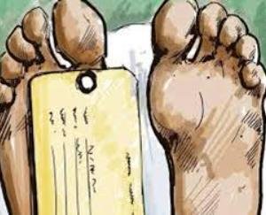 41 year old man dies after falling from tree