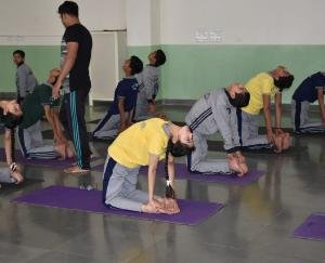 Organized yoga camp for teachers and students in school