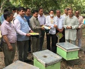  Efforts will be made to upgrade Bee Research Center to Bee Heritage Farm - Vice Chancellor