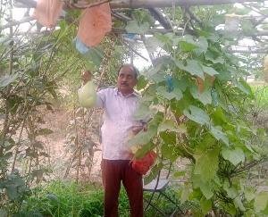Kuldeep Singh Guleria, manager of Nag Mandir Kariyada, became a successful farmer